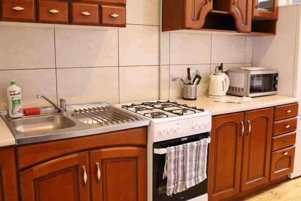 كراكوفيا Soltyka 5 Rooms Apartment المظهر الخارجي الصورة