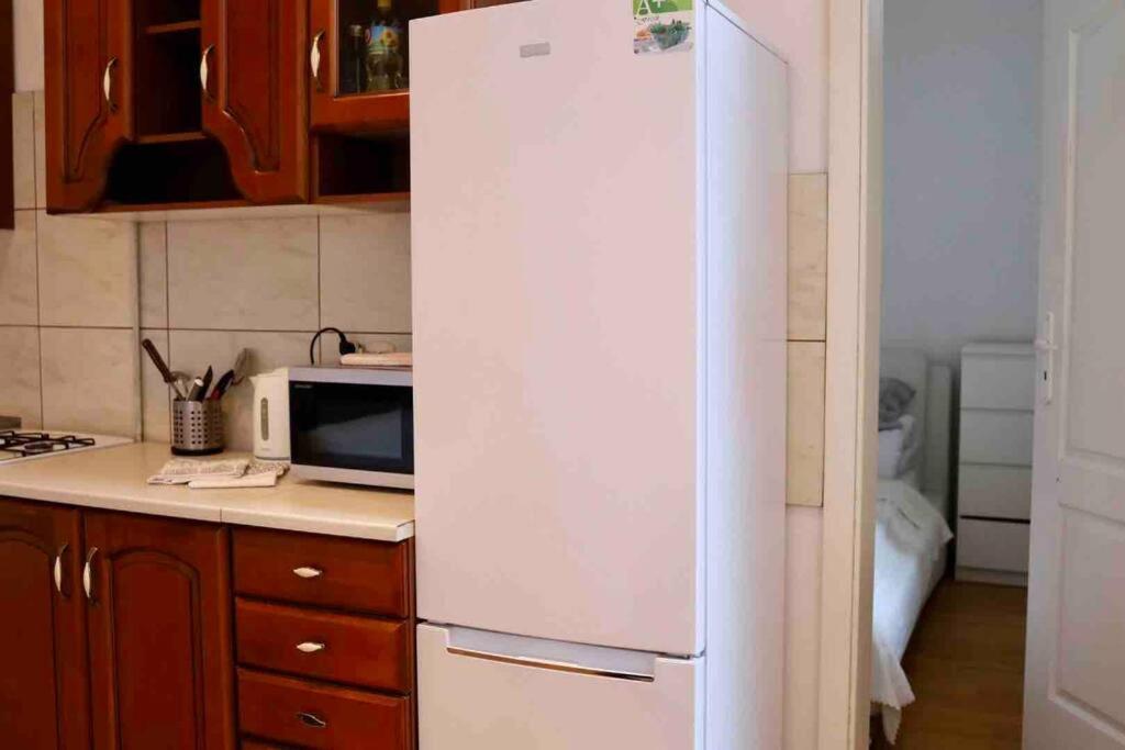كراكوفيا Soltyka 5 Rooms Apartment المظهر الخارجي الصورة